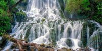 بازدید از آبشار وارک در سرزمین آبشار ها