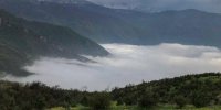 جنگل الیمستان طلای سبز آمل