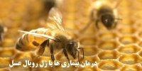 ژل رویال عسل دقیقا چه خواصی دارد؟