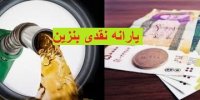 جزئیات واریز نقدی ماهانه ۲۰ لیتر بنزین به حساب مردم!