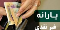جزئیات طرح یارانه 120 هزارتومانی+زمان اجرا