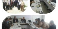 کشت 70 هزار هکتار کلزا در گلستان و مازندران با حمایت شرکت صنعتی بهپاک