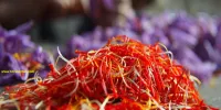 زعفران تقلبی را از اصل چگونه تشخیص دهیم؟