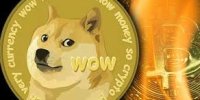 مقایسه سود بیت کوین با دوج کوین