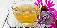 آشنایی با دمنوش ضد سرفه اکیناسه