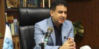 سه هتل در منطقه 10 در حال احداث است/ جنگل های منطقه متولی ندارد