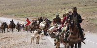 گردشگری عشایری ظرفیت مغفول مانده در ایران