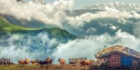 سفر به دهکده ییلاقی مازیچال را تجربه کنید