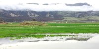 راهنمای سفر به دشت ارژن