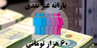 جزئیات جدید از پرداخت یارانه غیرنقدی 60 هزارتومانی