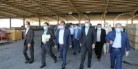 مصوبات تعیین تکلیف کالاهای متروکه موجود در بندر خرمشهر به صورت جهادی پیگیری شود