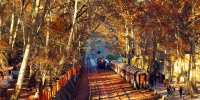 پنج مکان دیدنی و زیبای استان لرستان در فصل پاییز