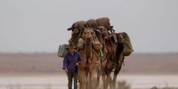 تصاویر دیدنی روز؛ از پیاده‌روی با شتر تا دختر جورج فلوید