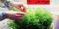 سیزده بدر چه غذایی درست کنیم؟