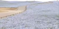 ویدیویی حیرت انگیز از دریای آبی رنگ گل