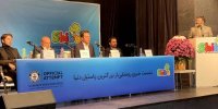دلفین غول پیکر  پاستیلی توسط شیبا ساخته شد