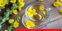 آشنایی با دمنوش گل ماهور برای درمان نفخ