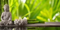 نکات فنگ شویی برای جذب انرژی بیشتر در خانه