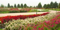 زیباترین و دیدنی ترین باغ های تهران را بشناسید!