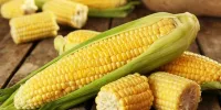 فواید شگفت انگیز ذرت برای پوست و مو و سلامتی