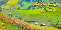 فیلم| دودانگه بهشتی در قلب مازندران