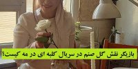 بازیگر نقش گل صنم در سریال کلبه ای در مه کیست؟