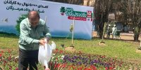 اهدای ۵۰۰۰ نهال با شعار هر فولادی یک نهال