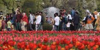 تصاویر دیدنی روز؛ از بزرگترین باغ گل لاله تا شورش ملکه زیبایی علیه ارتش
