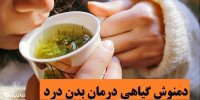 معرفی دمنوش گیاهی درمان بدن درد