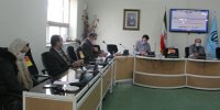 باید از ظرفیت شورای فرهنگ عمومی برای تحول آفرینی فرهنگی استفاده شود