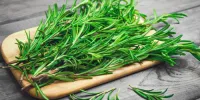 پنج گیاه تقویت کننده مغز و حافظه