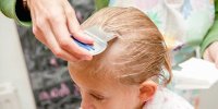 دشمن شپش چیست؟