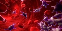 چگونه به طور طبیعی تعداد پلاکت ها را افزایش دهیم