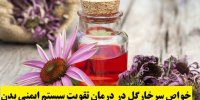 خواص سرخارگل در درمان تقویت سیستم ایمنی بدن