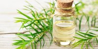 چگونه با روغن درخت چایی آکنه را از بین ببریم!