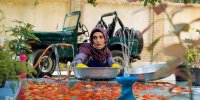 آشنایی با سریال بعد از آزادی+ اسامی بازیگران و زمان پخش