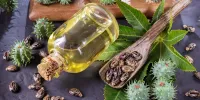 همه چیز در مورد روغن کرچک و فواید آن برای مو و پوست