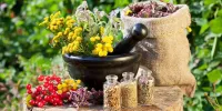 معرفی داروهای گیاهی طبیعی فرهنگ های غربی، بومی و شرقی