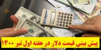 پیش بینی قیمت دلار در هفته اول تیر 1400