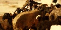 آشنایی با فیلم دیپورت+ اسامی بازیگران