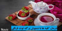 درمان کلیه ها با دمنوش برگ توت فرنگی
