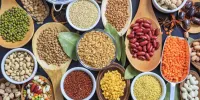 اهمیت و ضرورت کشت سویا و دیگر حبوبات غذای  مشترک انسان و حیوان