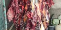 ماجرای کشف گوشت اسب و الاغ غیرمجاز در تهران!+عکس