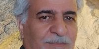 یعنی جوجه کلاغ ها را هم ما سیاه می کنیم؟!
