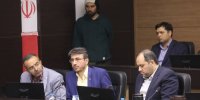 ریشه مشکلات، مدیریت دولتی در صنعت خودروسازی است
