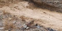 میزان تلفات سیل در ایران / 8 مرداد 1401