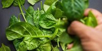سبز پرخاصیت/ خواص بی نظیر اسفناج برای لاغری