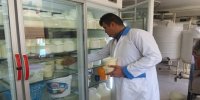 علت افزایش شدید قیمت لبنیات از نگاه کارشناسان اقتصادی /1401