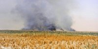 دود عراقی خوزستان را فرا گرفت