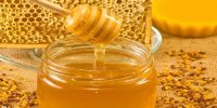 عسل طبیعی با کیفیت در کجای ایران وجود دارد؟